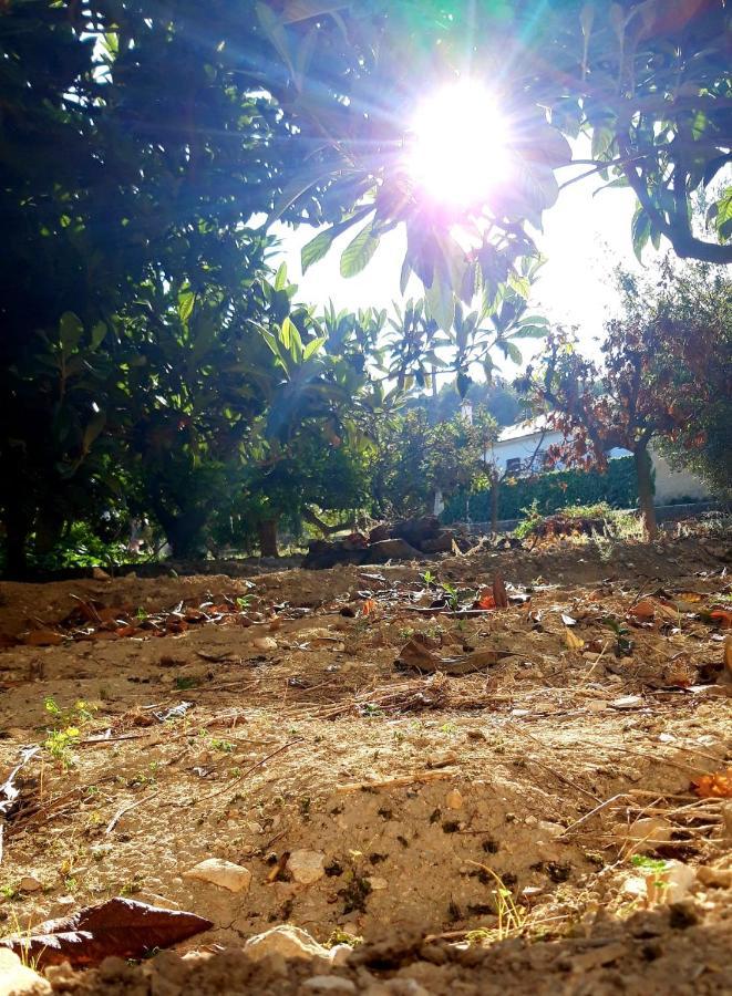 La Caseta Benimantell Bagian luar foto